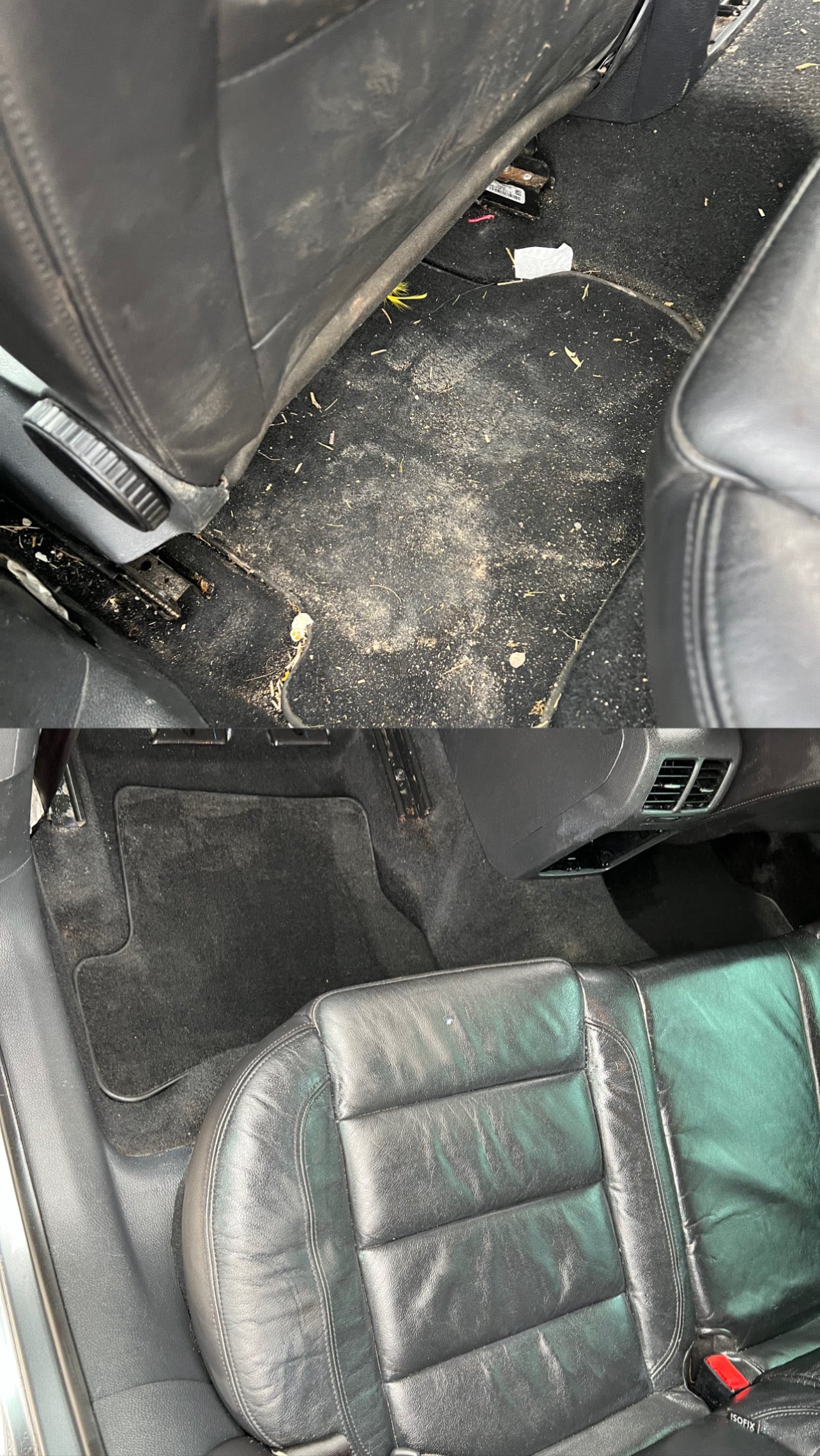Full Interior Steam Clean