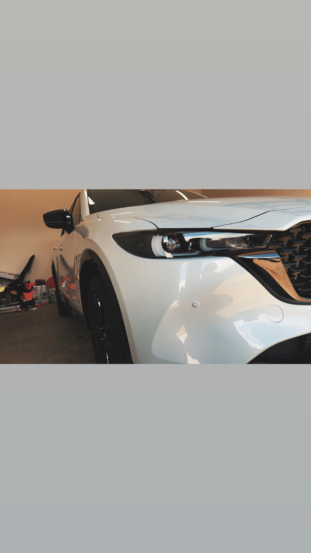 Collections Geelong Car Detailing